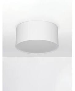 LULDO STROPNA SVJETILJKA LED/3000K/16W/976Lm/BIJELA NL9030727