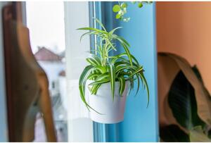 Plastične viseće i zidne posude za cvijeće u setu 2 kom ø 13 cm – Esschert Design