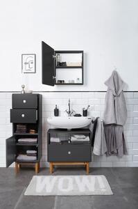 Antracitno sivi visok/zidni kupaonski ormarić 40x100 cm Color Bath – Tom Tailor