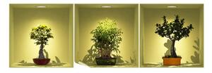 Set s 3 naljepnice s 3D efektom Ambiance Bonsai Trees On Spot