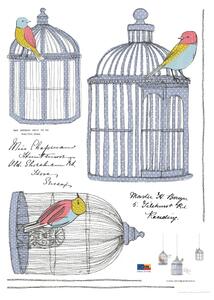 Set naljepnica Ambiance Birds In Cage