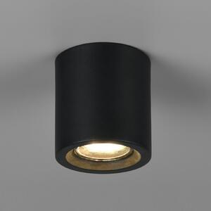 Trio Lighting Stropna svjetiljka Biscotto, mat crna, Ø 9,5 cm, metal, IP44, Crno, Dnevni boravak/blagovaonica, Metal