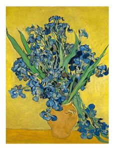 Reprodukcija slike Vincenta Van Goghaa - Irises, 60 x 45 cm