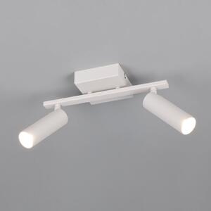 Trio Lighting Stropna svjetiljka Dara, duljina 28 cm, siva, metal, s dva kraka, Sivo, Dnevni boravak/blagovaonica, Metal
