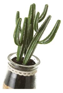 Umjetne biljke u setu 4 kom (visina 18 cm) Cactus – Casa Selección