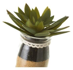 Umjetne biljke u setu 4 kom (visina 18 cm) Cactus – Casa Selección