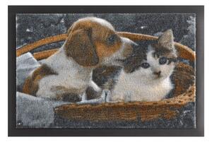 Otirač Hanse Home Animals Dog and Cat, 40 x 60 cm