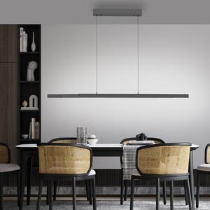 Paul Neuhaus LED viseća svjetiljka Adriana Comfort Lift, siva, CCT, prigušiva, Sivo, Dnevni boravak/blagovaonica, Aluminij