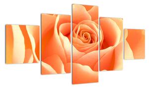 Slika - narančaste ruže (125x70cm) (F000693F12570)