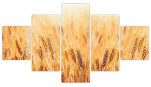 Slika - žito u polju (125x70cm) (V026073V12570)