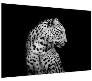 Slika - Leopard (90x60 cm)