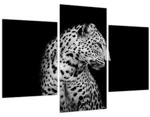Slika - Leopard (90x60 cm)