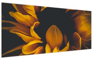 Slika - Suncokreti u crnoj pozadini (120x50 cm)