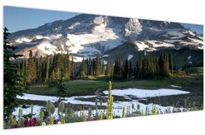 Slika - Mount Rainier (120x50 cm)