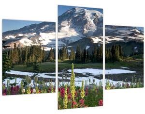 Slika - Mount Rainier (90x60 cm)