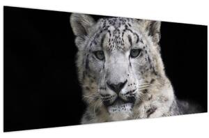 Slika - Snježni leopard (120x50 cm)