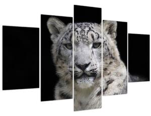 Slika - Snježni leopard (150x105 cm)