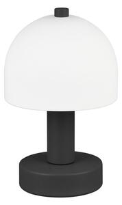 Crno-bijela stolna lampa sa staklenim sjenilom (visina 19 cm) Glenn – Trio