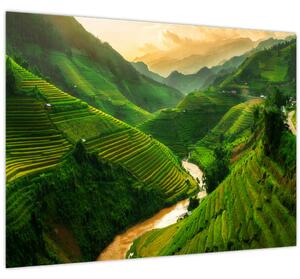 Slika - Mu Cang Chai rižine terase (70x50 cm)