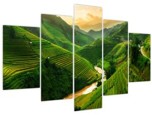 Slika - Mu Cang Chai rižine terase (150x105 cm)