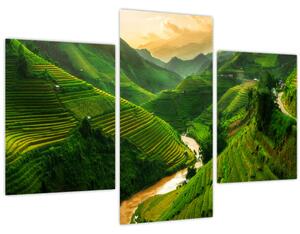 Slika - Mu Cang Chai rižine terase (90x60 cm)