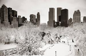 Fotografija Central Park winter, rabbit75_ist