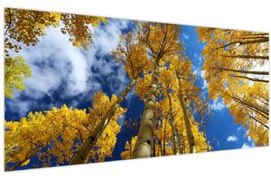 Slika - Aspen (120x50 cm)