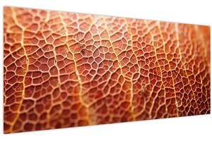 Slika - Detalj teksture (120x50 cm)