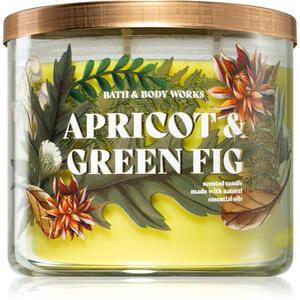 Bath & Body Works Apricot & Green Fig mirisna svijeća 411 g