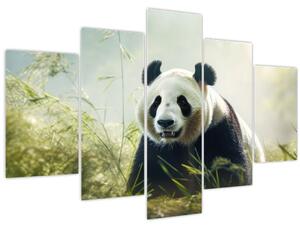 Slika - Panda (150x105 cm)