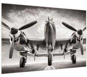 Slika - Warbird (90x60 cm)