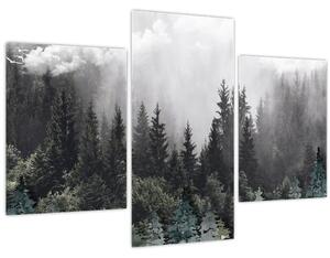 Slika - Šuma s ilustriranim elementima (90x60 cm)