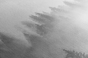 Slika magla iznad šume u crno-bijelom dizajnu