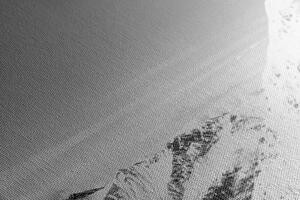Slika snježne planine crno-bijelom dizajnu