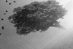 Slika usamljeno stablo na livadi u crno-bijelom dizajnu
