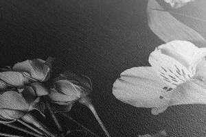 Slika elegantno crno-bijelo cvijeće