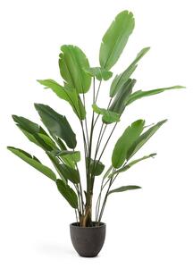 Umjetno stablo banane (visina 210 cm) – Kave Home