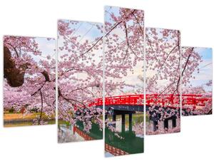 Slika - Hirosaki, Japan (150x105 cm)
