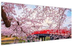 Slika - Hirosaki, Japan (120x50 cm)