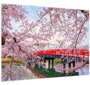 Slika - Hirosaki, Japan (70x50 cm)
