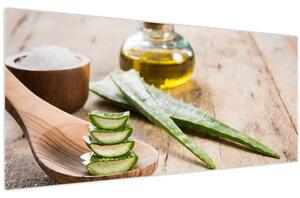 Slika - Aloe vera (120x50 cm)