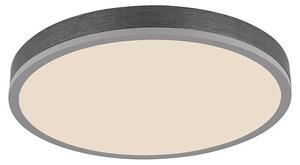 Globo LED panel Doro (24 W, Siva)