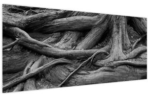 Slika - Korijenje stabla (120x50 cm)