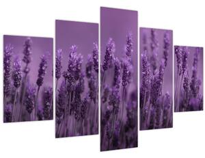 Slika - Lavanda (150x105 cm)