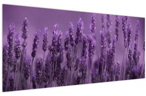 Slika - Lavanda (120x50 cm)