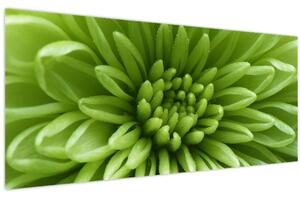 Slika - Makro slika biljke (120x50 cm)