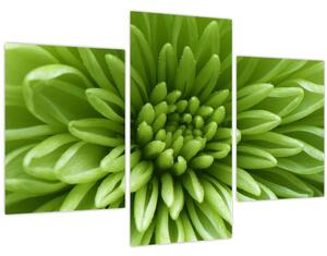 Slika - Makro slika biljke (90x60 cm)