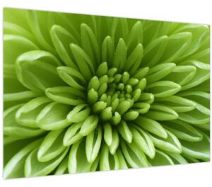 Slika - Makro slika biljke (90x60 cm)