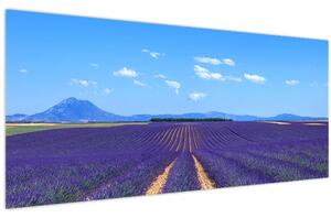 Slika - Polje lavande (120x50 cm)