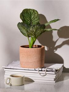 Sinsay - Umjetna dekorativna biljka Alocasia u posudi